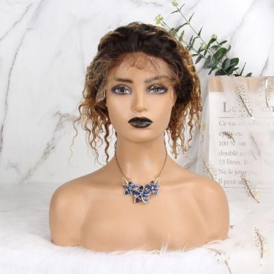 Best Quality Cheap Price Natural Color for Black Women Afro Curly Human Hair Wig