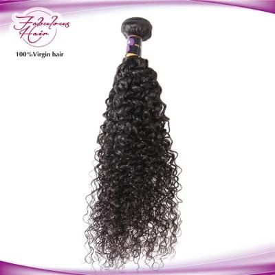 High Quality Brazilian Virgin Human Hair Curly Bundles