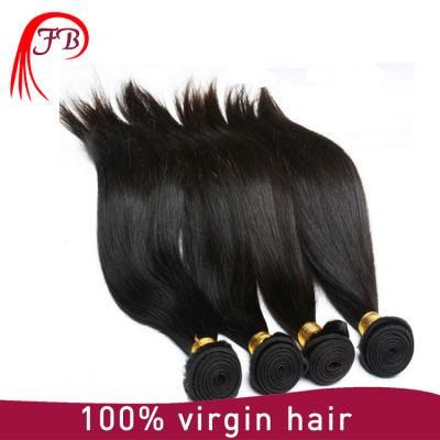 Unprocessed Virgin Hair Extension Brazilian Hair Weave