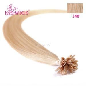 Hot Sale Keratin Virgin U-Tips Pre-Bonded Human Hair Extension
