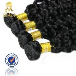 Brazilian Virgin Hair Human Hair Bulk