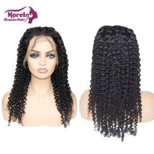 Full Lace Human Hair Wig Raw Wigs Mink Brazilian Temple Hair