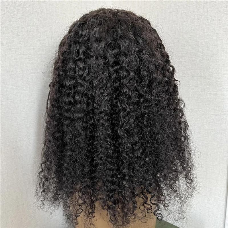 Jerry Curly 4*4 Lace Wig Brazilian Human Hair Wigs for Black Women
