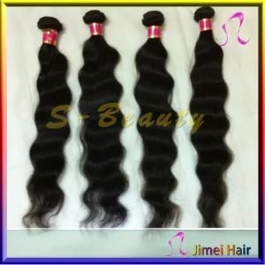 8-30 Inch Loose Wave /Brazilian Human Hair Extension (SB-B-LW)