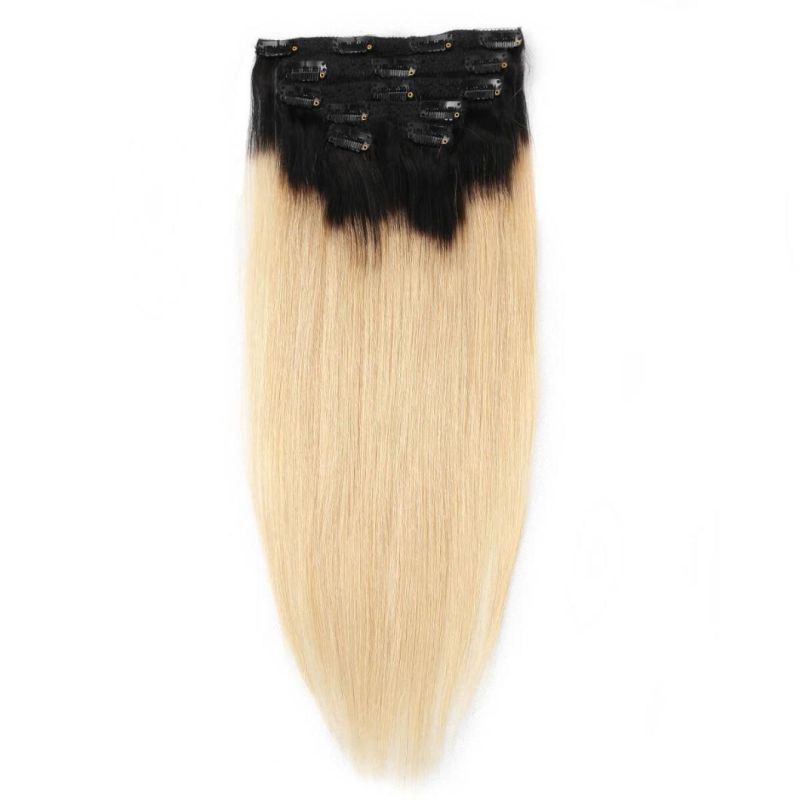 Xuchang Beauty Hair Fashion 100g 120g 160g 220g 260g 7A Cheap100% Brazilian Human Hair Ombre Grey Color Clip in Hair Extension