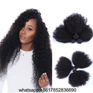 8A Peruvian Raw Inaian Brazilian Cuticle Aligned Hair Remy Human Hair Afro Kinky Curly Hair Extensioon Hair Weft