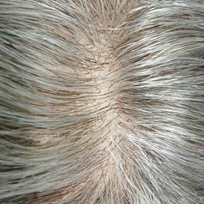 Ljc473 Indian Human Hair with Grey Hair in Synthetic Natural Toupee