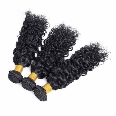 Natural Color Double Drawn Water Wave Human Hair Bundles