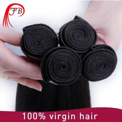 Cheap Top Quality Brazilian Tangle Free Human Hair Weft