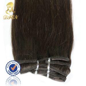 Remy Clip Hair Extensions Indian Human Hair