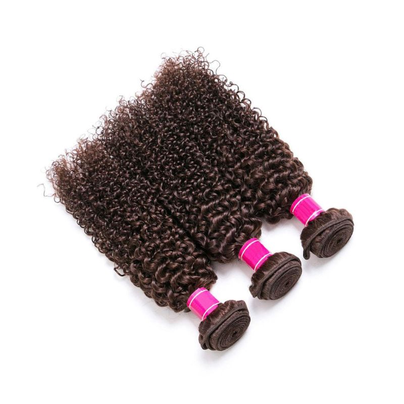 Brown Bundles Brazilian Curly Hair Bundles Remy Human Hair Extensions Kinky Curly Hair Weave Bundles for Black Women Dark Brown