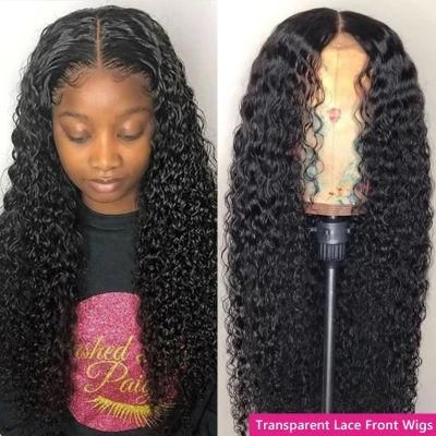 Raw Brazilian Virgin Hair HD Lace Front Wig with Baby Hair