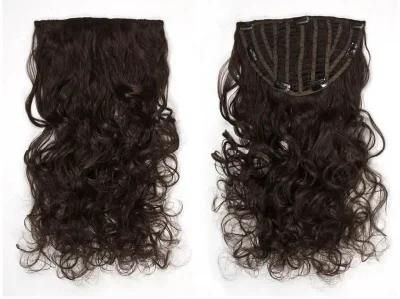Clip in Hair Extension Virgin Hair Clip on Hair Extensions (AV-HW00-17)