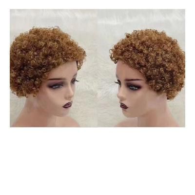 Quick Sale Colored Human Hair Wig Pixie Wigs