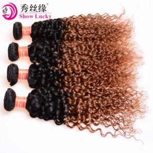 European Kinky Curly Hair Weave Bundles 100% Ombre Color Human Hair Weaving Natural Top Quality 10A Grade