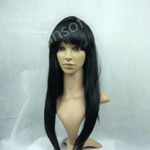 Hot Sales Human Hair Wigs