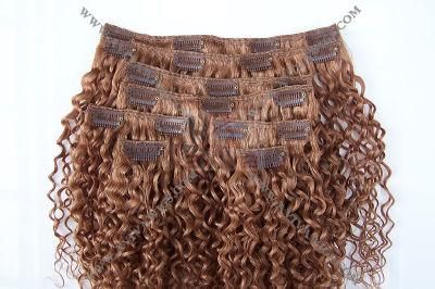 Clip on Hair Extension Brazilian Hair Curly Virgin Human Hair Extension