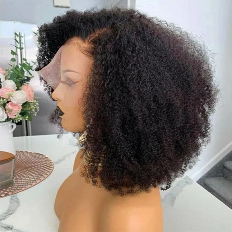 13X4 Lace Front Afro Kinky Curly Human Hair Wig