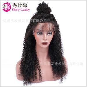 Top Quality 100% Natural Brazilian Remy Human Hair Full Lace Wig Lace Front Wig for African American Women