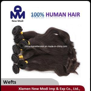 Top Grade 5A Natural Human Brazillian Hair / Brazillian Virgin Hair