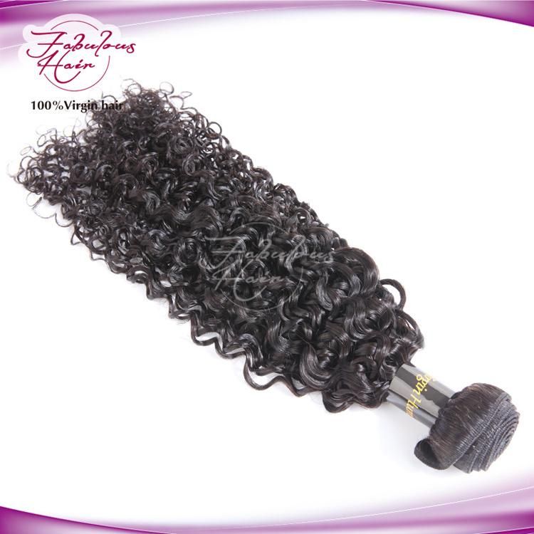 Top Grade Natural Brazilian Curly Virgin Human Hair