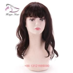 Body Wave 14inch Brazilian Indian Peruvian Malaysian Virgin Hair Lace Front Wigs