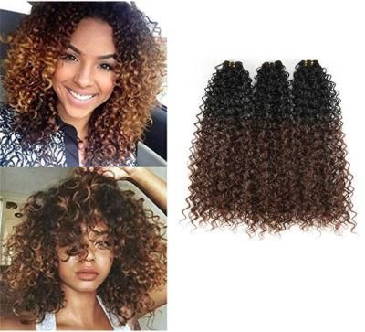 Kinky Curly Human Hair Weave 3 Bundles Ombre Color