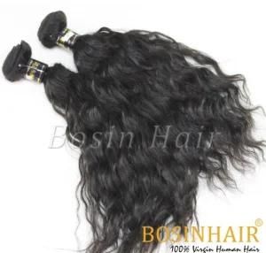 Brazilian 100% Remy Hair Virgin Human Hair