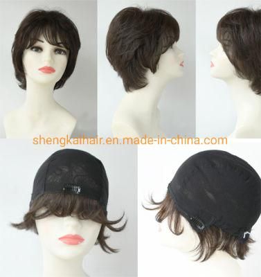 Wholesale Good Quality Handtied Human Hair Synthetic Hair Mix Short Hair Wigs for Sale 541