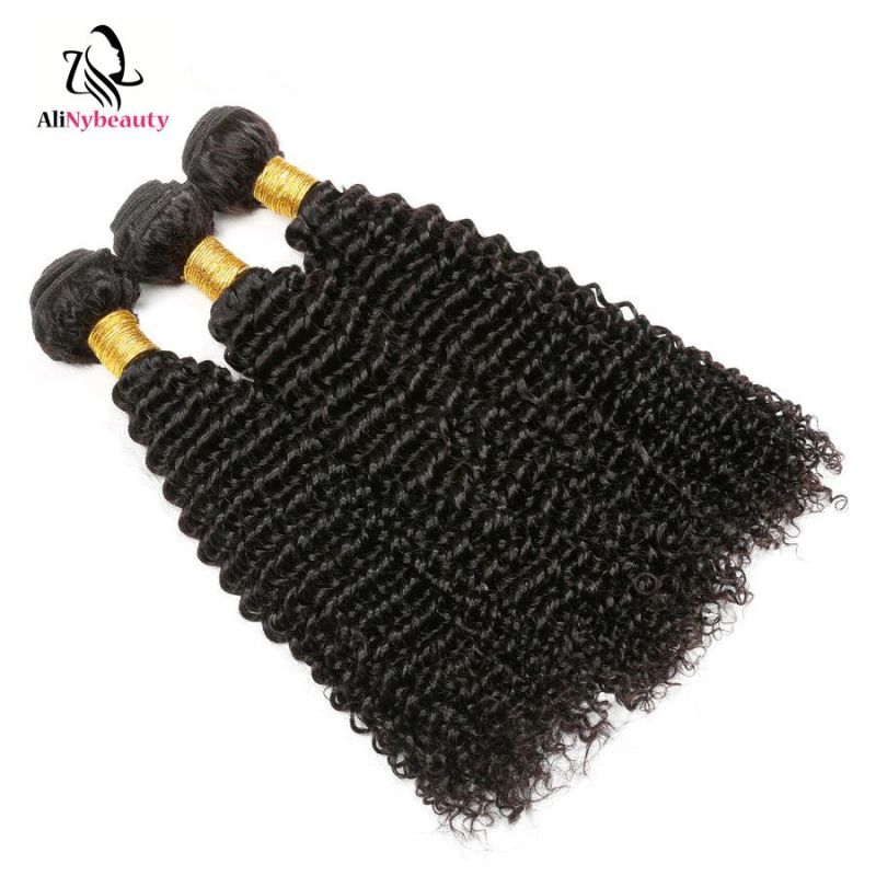 Hot Selling Kinky Curly Brazilian Virgin Hair Weave