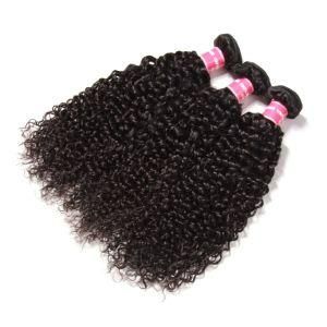 Pb Brazilian Human Hair Kinky Curly Hair Weave Extensions