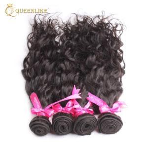 Unprocessed Wholesale Water Wave Raw Indian Human Virgin Hair