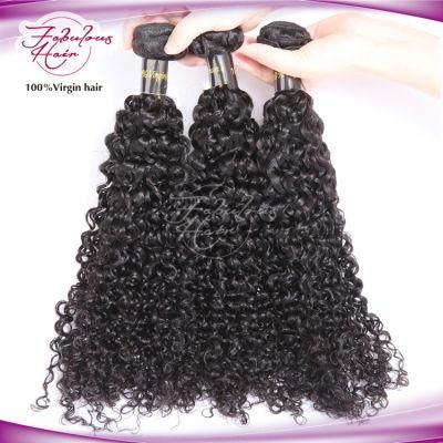 Wholesale 100% Human Hair Wig Curly Virgin Indian Hair