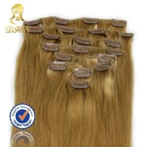 Fashion Extensions Clip in Hair Extension