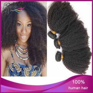 Unprocessed Human Afro Curly Hair