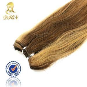Straight 100% Remy Human Hair Extension