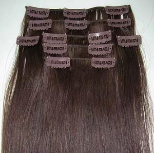 Top Quality Grade Aaaa Double Drawn Clip in Hair Extension