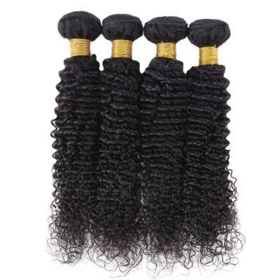 Kinky Curly Weave Human Hair Bundles Peruvian Curly Hair Extension