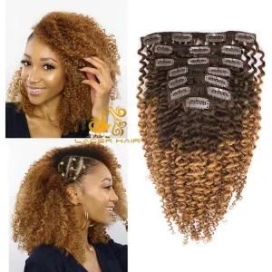 Ks27 Strawberry Blonde Kinky Straight 8&quot;-26&quot; Remy Human Hair for Clip in Hair Extension in Stock