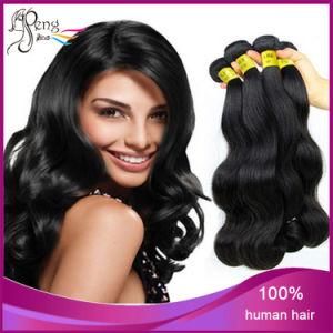 Top Quality Good Price Virgin Human Hair