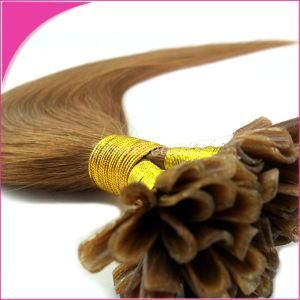 Pre Bonded Hair Wholesale Price Brazilian Human Hair Extension