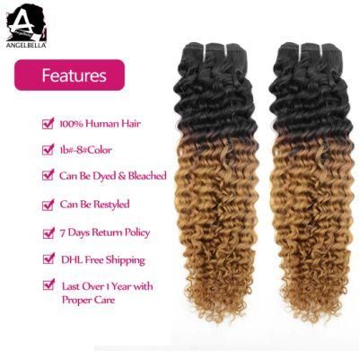 Angelbella Raw Mink Brazilian Virgin Human Hair Weft Ombre 1b#-8# Deep Curly Hair Weave