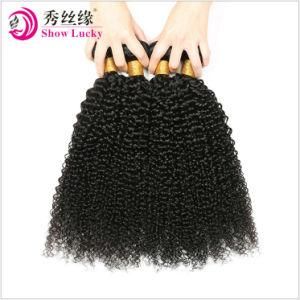 Unprocessed Raw Cambodian Virgin Hair Kinky Curly Human Hair Weave Remy Afro Curl Hair Extension