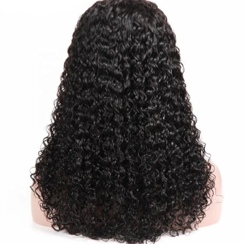 Human Hair Lace Front Wig Swiss Remy Lace Wigs