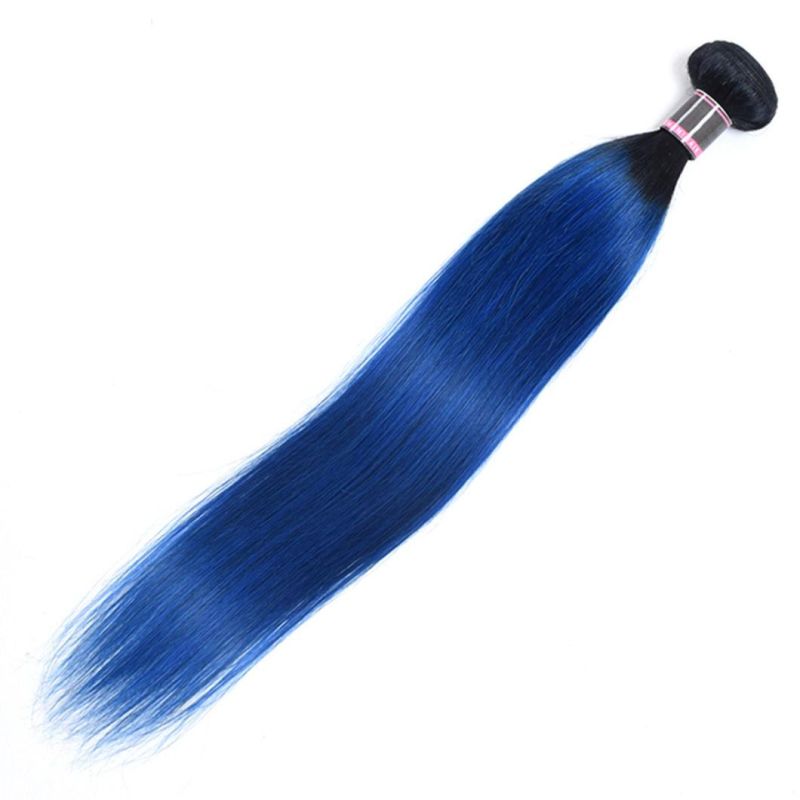 Straight Remy Hair Extensions Brazilian Human Hair Bundles 16 Inches T1b/613