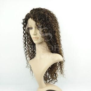 100% Human Hair Wig (kinsofa 644127)