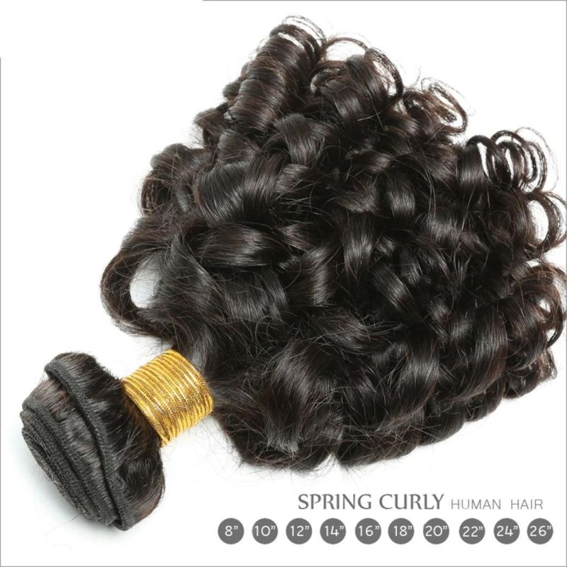 Brazilian Human Hair Loose Bouncy Curly Hair 2/3/4 Bundles with 4*4 Closure 100% Human Hair Natural Black Weave Extensions