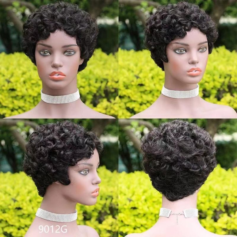 Wholesaler Wig Indian Human Hair Short Curly Women Wigs Human Hair Machine Wig