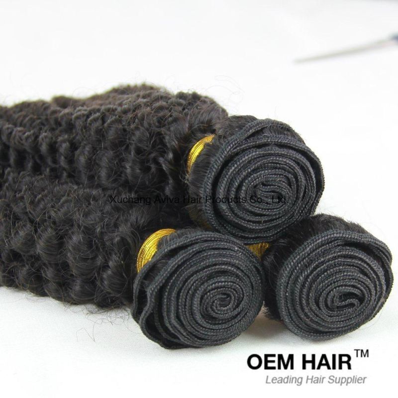 Kinky Curl 100% Virgin Hair Ombre Natural Virgin Hair Extension