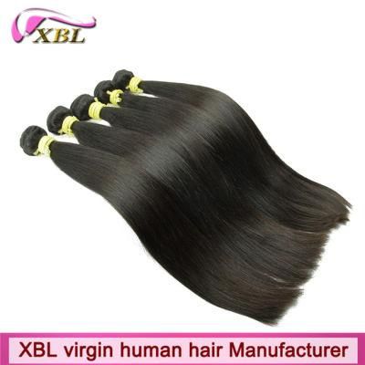 Natural Hair Chemical Free Virgin Brazilian Remy Hair